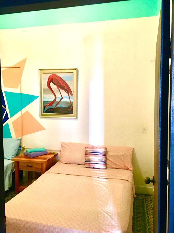 Medusa'S Hostel أغواديلا المظهر الخارجي الصورة